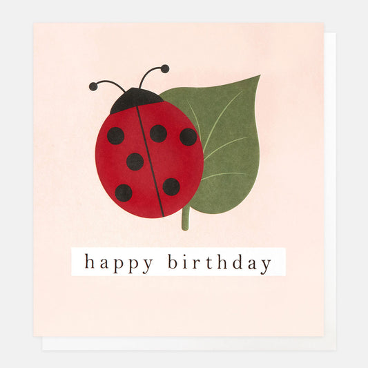 GEO010-Caroline G-Happy Birthday Ladybird & Leaf On Pink-Card-Geometric