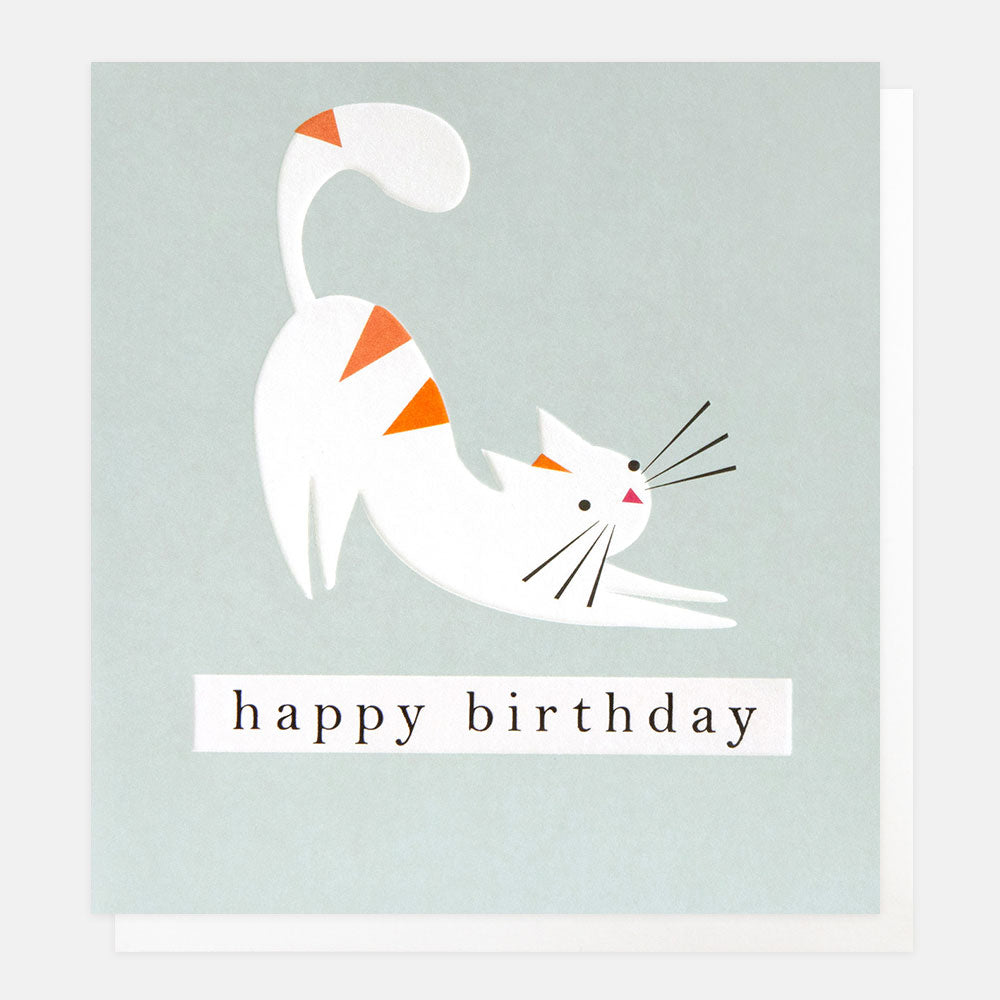GEO007-Caroline G-Happy Birthday Stripey Stretching Cat On Blue-Card-Geometric
