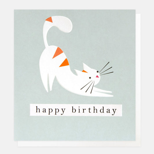 GEO007-Caroline G-Happy Birthday Stripey Stretching Cat On Blue-Card-Geometric