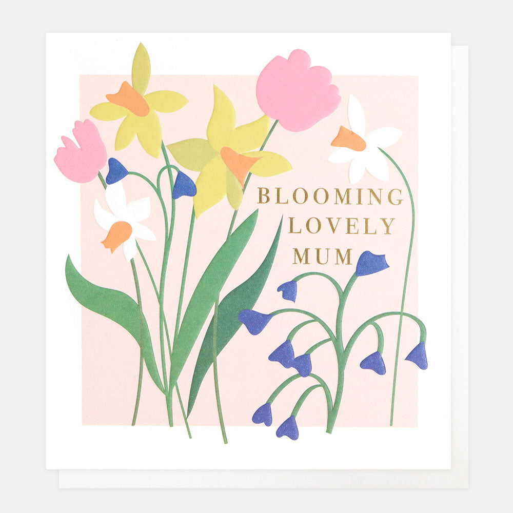 MED011-Caroline G-Blooming Lovely Mum Daffodils-Card-