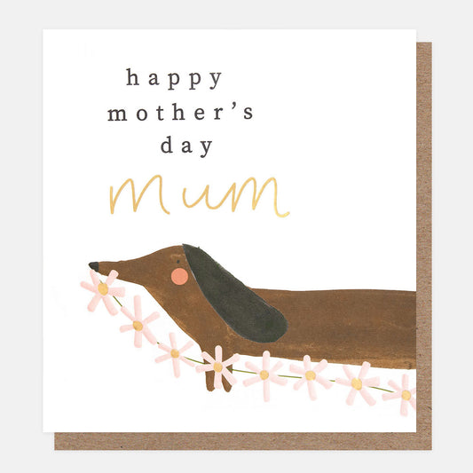 MTH035-Caroline G-Happy Mother'S Day Mum Sausage Dog With Flower Bunting-Card-