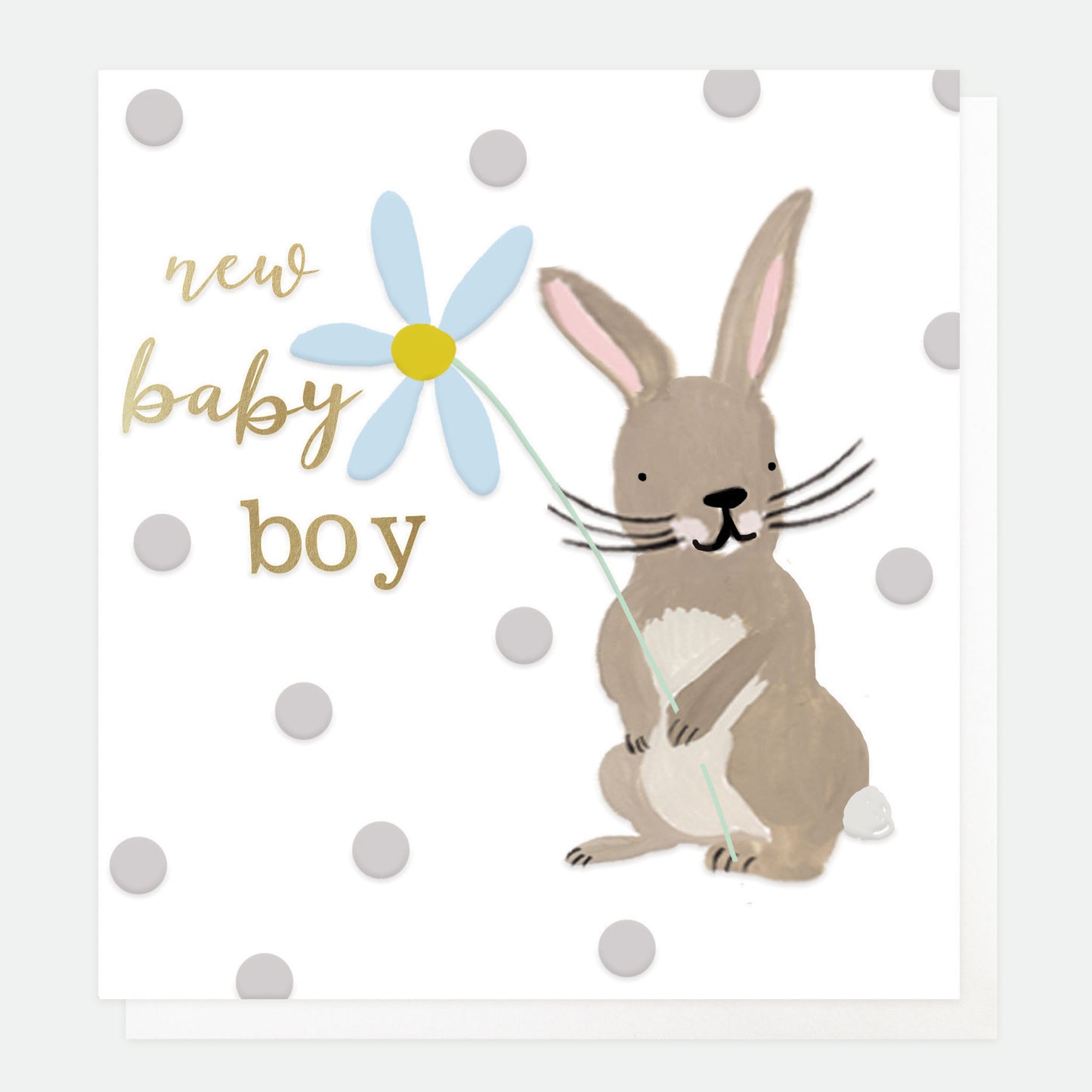 PAI037-Caroline G-Baby Boy Rabbit-Card-Paintbrush