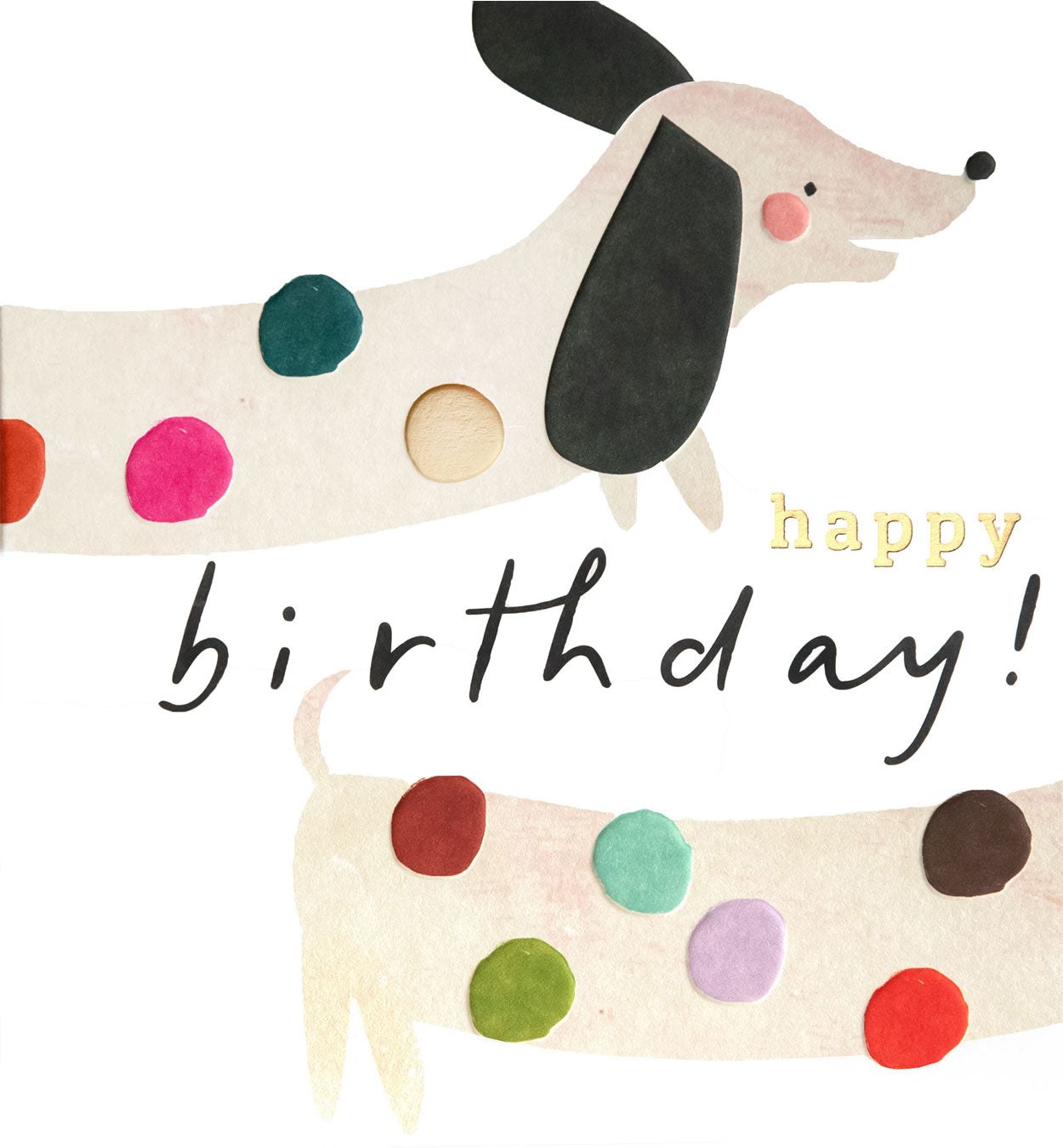 PLY007-Caroline G-Happy Birthday Sausage Dog With Colourful Spots-Card-