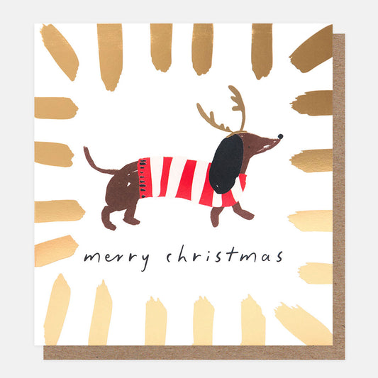 PNT627-Caroline G-Sausage Dog In Jumper Gold Burst Border Merry Christmas -Xmas Card Pack-