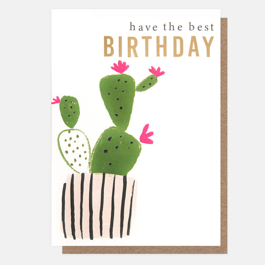 SBK011-Caroline G-Have The Best Birthday Flowering Cactus-Card-Sketchbook