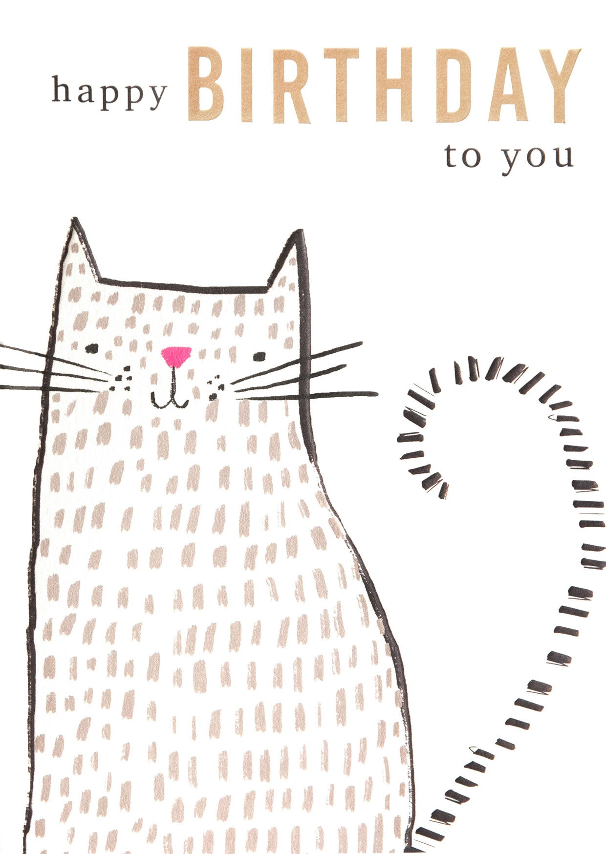 SBK014-Caroline G-Happy Birthday To You Sketchy Dotty Cat-Card-