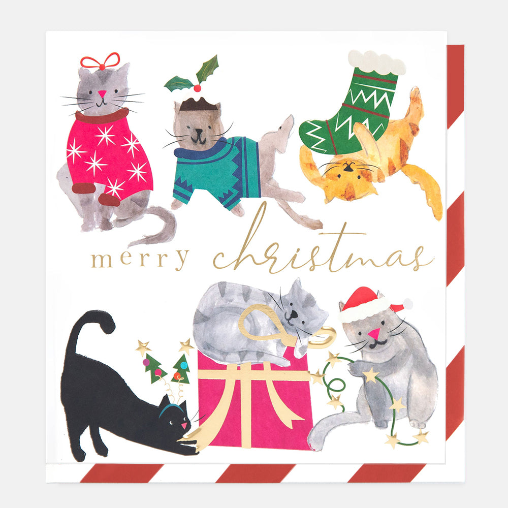 SGX019-Caroline G-Painted Cats Dress Up Merry Christmas -Xmas Card-