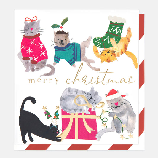 SGX019-Caroline G-Painted Cats Dress Up Merry Christmas -Xmas Card-