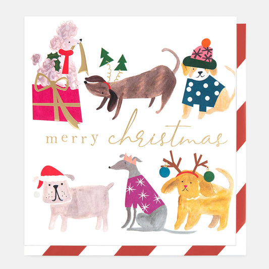 SGX020-Caroline G-Painted Dogs Dress Up Merry Christmas -Xmas Card-