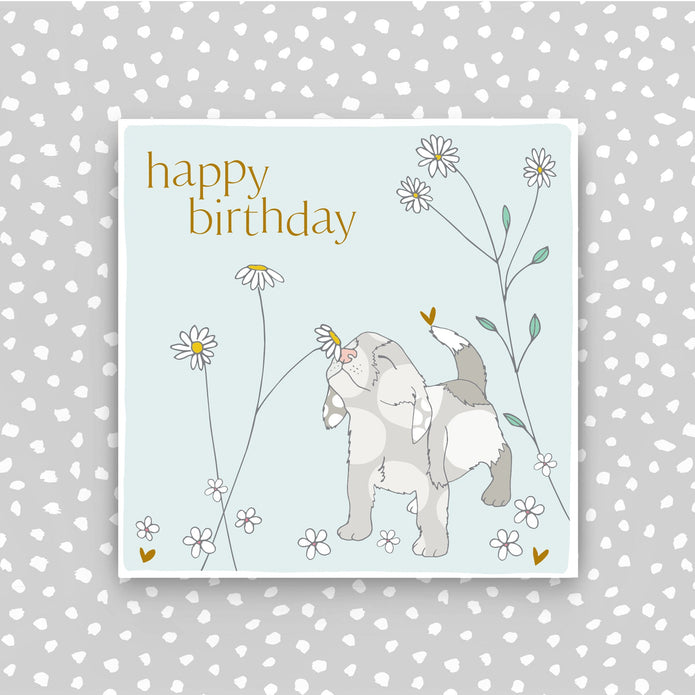 CB212-Molly Mae-Happy Birthday - Dog And Flowers-Card-Carried On The Breeze