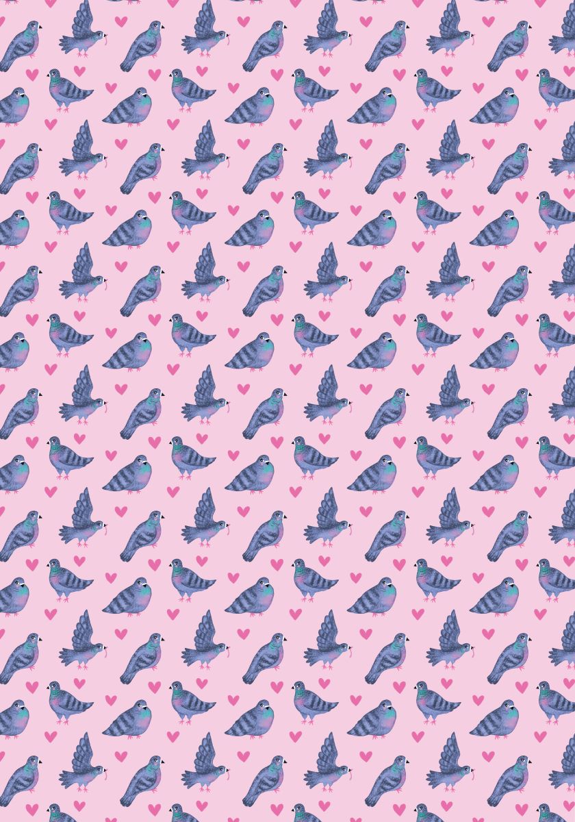 W064-Earlybird-Pigeons-Wrap-
