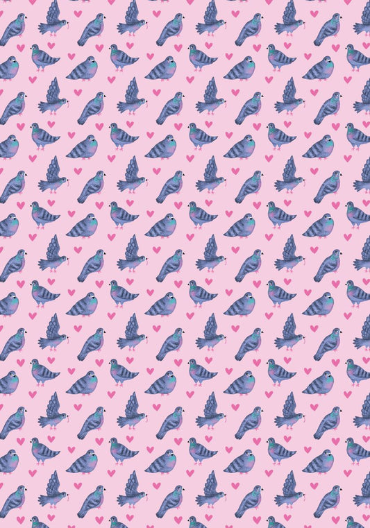W064-Earlybird-Pigeons-Wrap-
