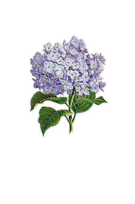 9980400004-Editions du Desastr