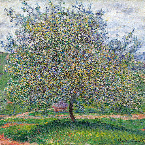 9981970087-Editions du Desastre-Le Muse-Card-Le Muse