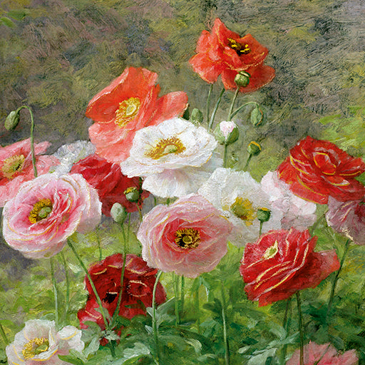 9981970141-Editions du Desastre-Le Muse-Card-Le Muse