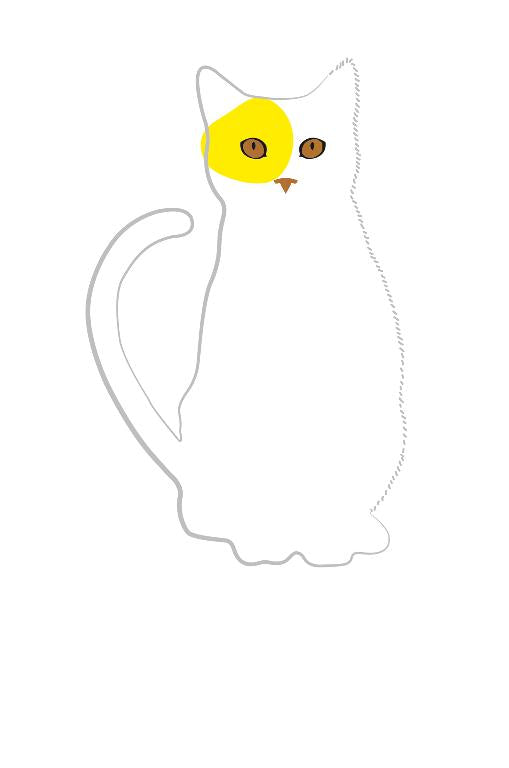 119960027-Editor Groupe-Cat Yellow-Card-Pure Et Simple