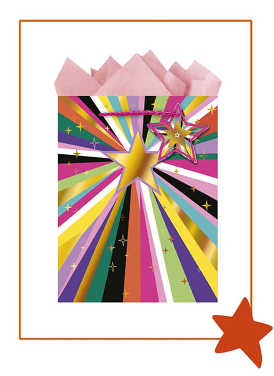 9605770072-The Editor Groupe-Rayon-Medium Bag 180Mm X 230Mm-Xmas Gift Bag-