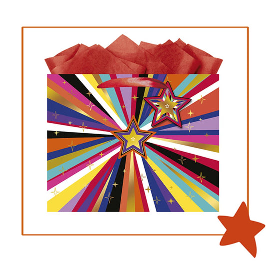 9605770095-The Editor Groupe-Rayon Rougehz-Horizontal Medium Bag 250Mm X 200Mm-Xmas Gift Bag-