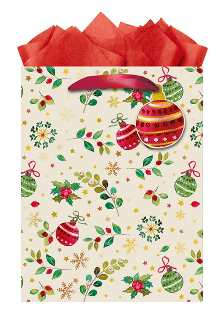 9613870058-The Editor Groupe-Traditionnel-Medium Bag 180Mm X 230Mm-Xmas Gift Bag-