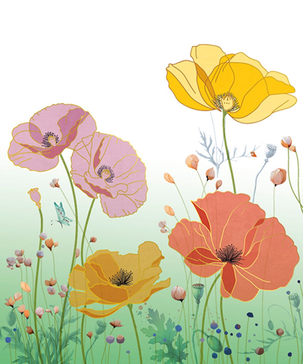 9957860099-The Editor Groupe-Aurore-Card-Aurore