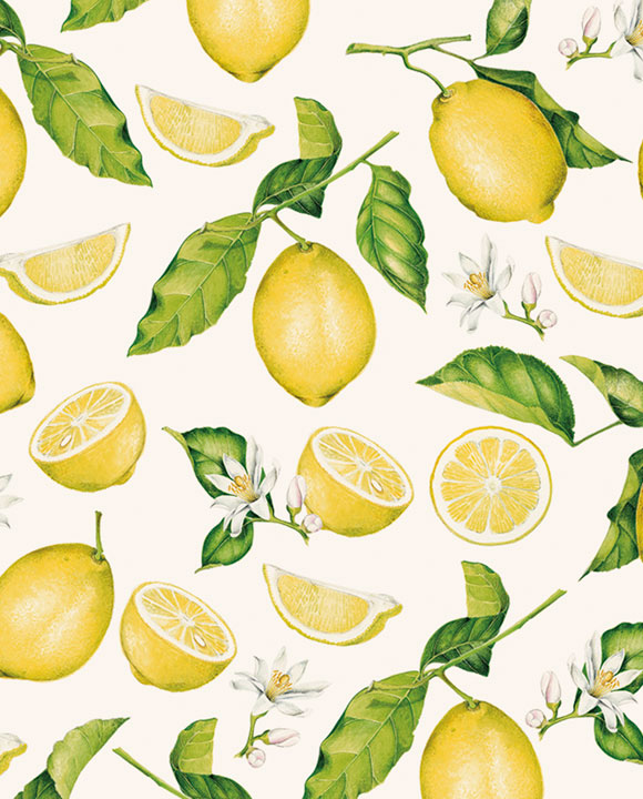 1497-Grafiche Tassotti-Fantasia Di Limoni-Wrap-Carte Decorative