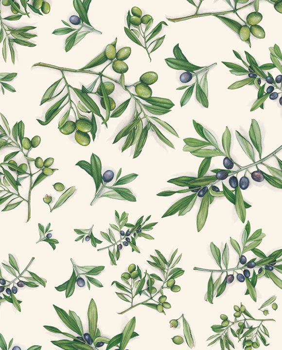 1734-Grafiche Tassotti-Olives-Wrap-Carte Decorative