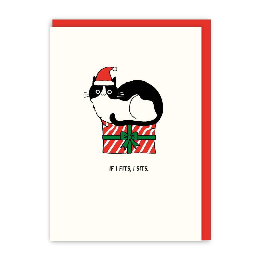 GC228-In Real Life-If I Fits I Sits Christmas-Xmas Card-Cat People