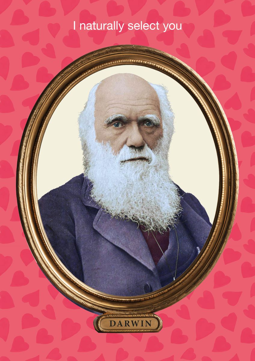 VALKMK2701-Kiss Me Kwik-Darwin-Card-