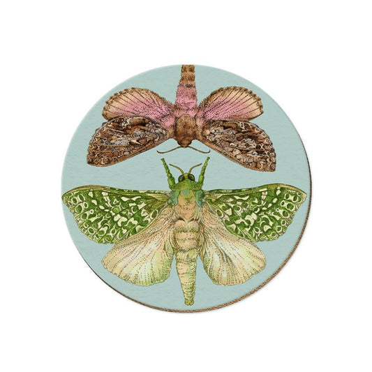 NZTWC103-Live Wires-NZ Moths-10cm-Coasters