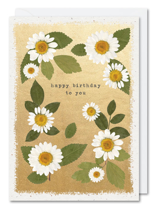 ERE08K-Meraki-Daisies-Card-Pressed Flowers