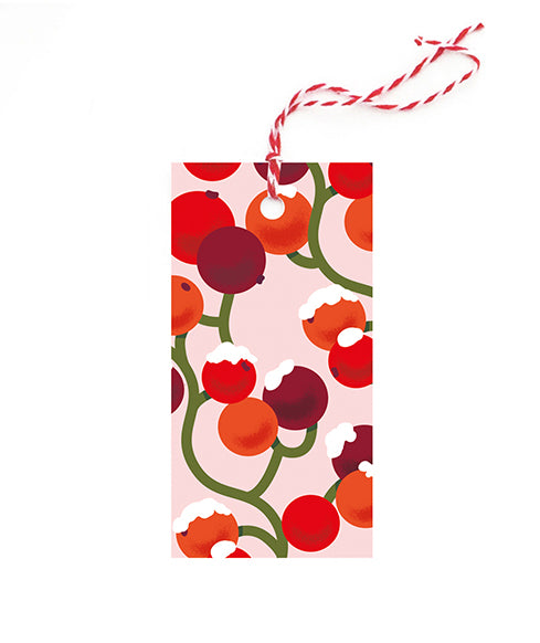 BG025-Noi-Xmas Gift Tags-10 Tags Threaded With Red And White Twine