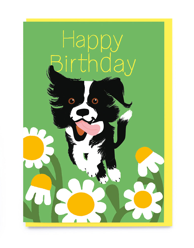 CM022-Noi-Boarder Collie And Bees-Card-