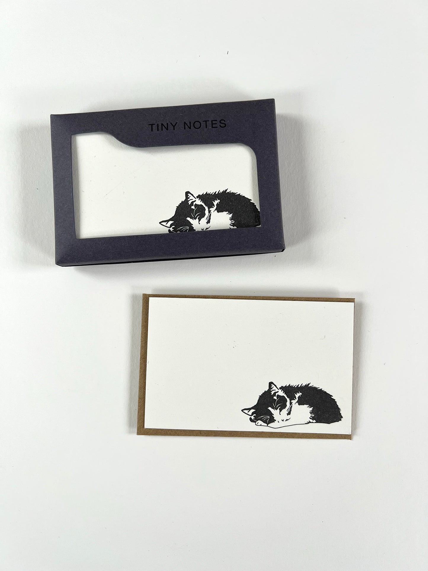 PITNB131-Penguin Ink-Casey Tiny Note Boxed Set 10 Cards & Envelopes-Boxed Cards-Boxed Tiny Notes