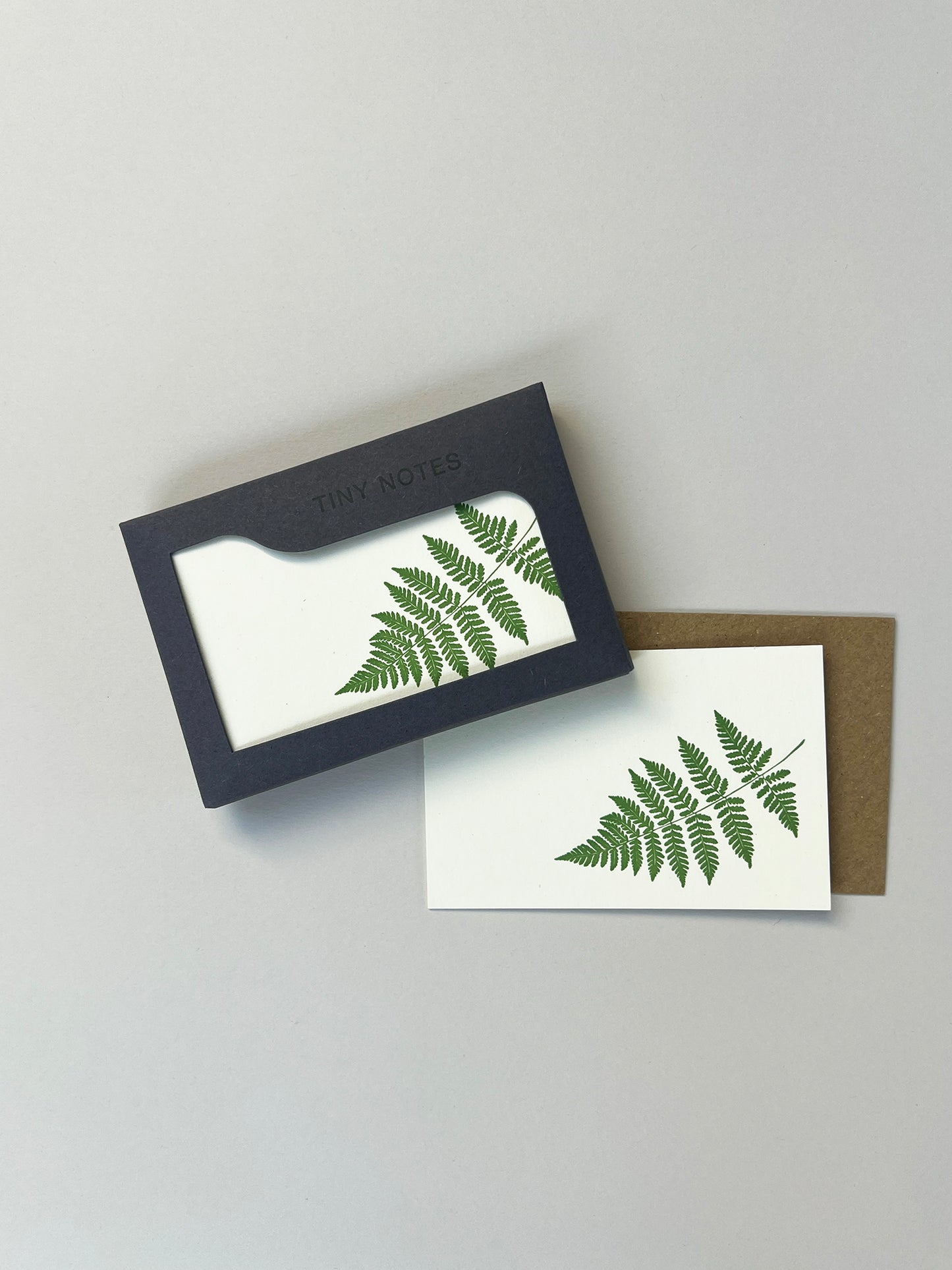 PITNB460-Penguin Ink-Fern Tiny Note Boxed Set 10 Cards & Envelopes-Boxed Cards-Boxed Tiny Notes