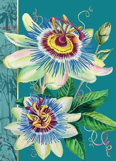 KIM031-Rocket68-Passion Flower-Card-Kimono