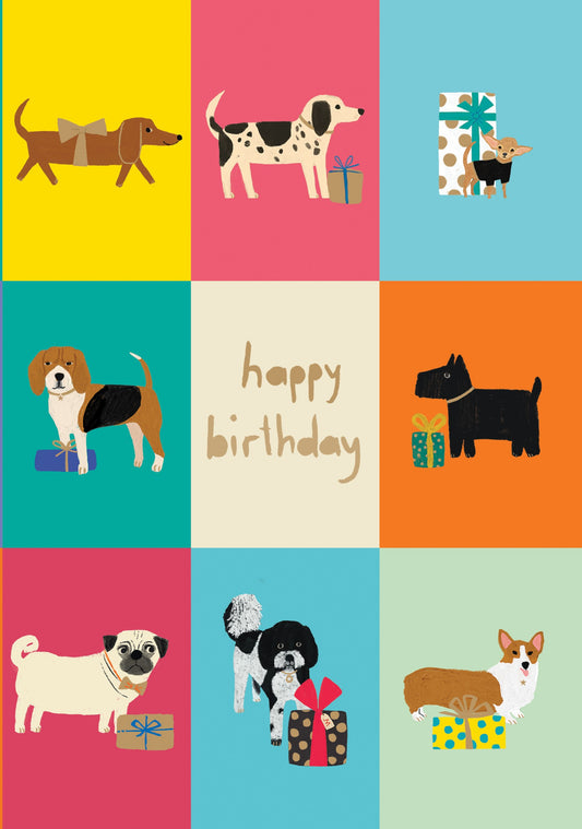 GC2495-Roger La B-Dog Checkerboard Greeting Card Single-Card-Standard