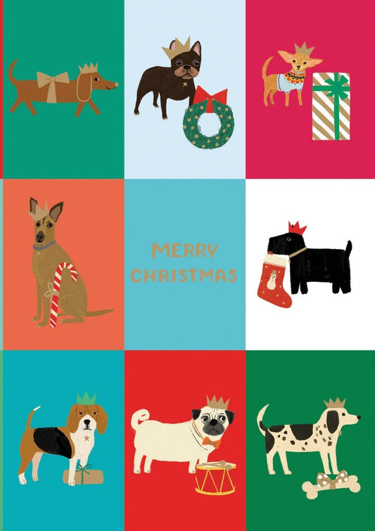 GCX1085-Roger La B-Festive Dog Checkerboard-Xmas Card-Pooch Perfection
