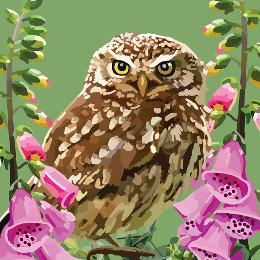 BB009-Sarah Kelleher-Owl-Card-British Birds