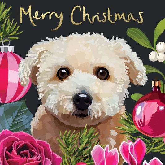 CP006-Sarah Kelleher-Merry Christmas Bichon Frise-Xmas Card-