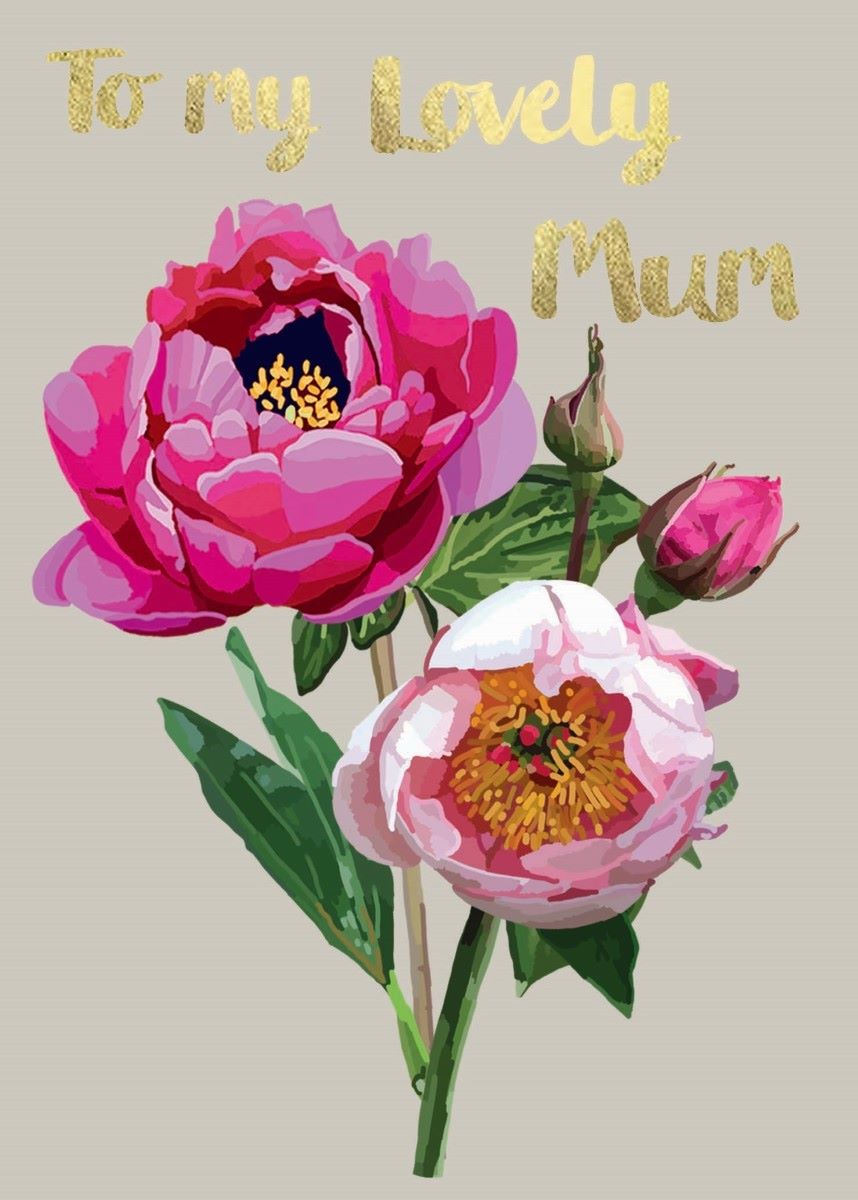 FF062H-Sarah Kelleher-To My Lovely Mum-Card-