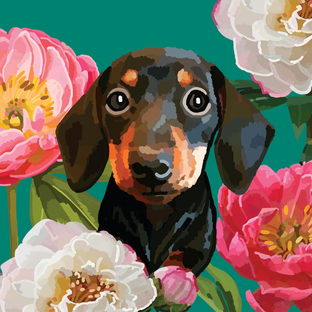 PT027-Sarah Kelleher-Blank Dachsund-Card-Pets