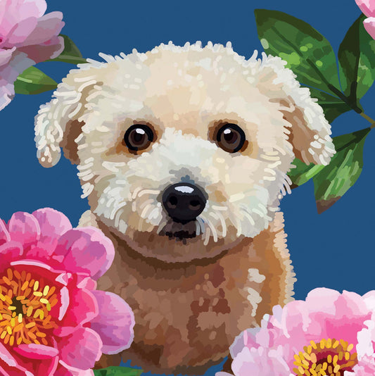 PT031-Sarah Kelleher-Blank Bichon Frise-Card-Pets