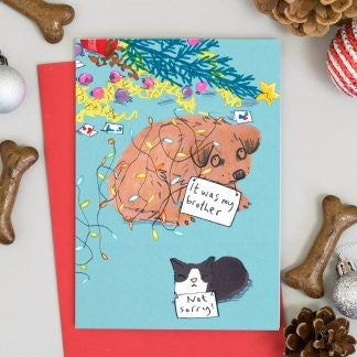 JOC0684-Scarpa Cards-Not Sorry-Xmas Card-Jo Clark