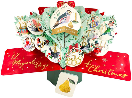 XPOP071-Second Nature-12 Days Of Christmas-Xmas Card-Pop Ups