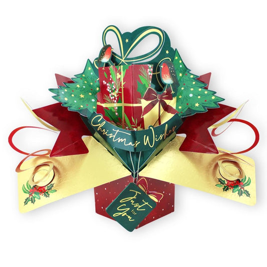 XPOP076-Second Nature-Xmas Gift With Robin-Xmas Card-Pop Ups