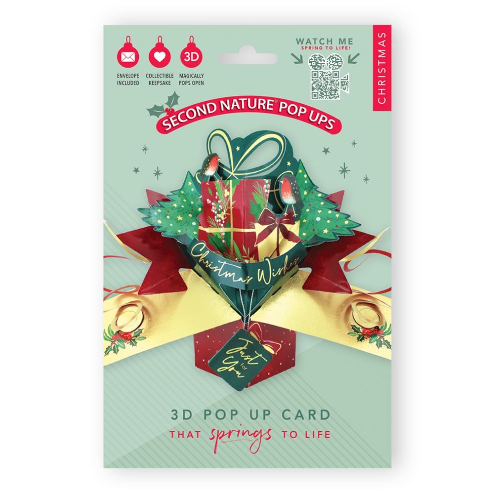 XPOP076-Second Nature-Xmas Gift With Robin-Xmas Card-Pop Ups