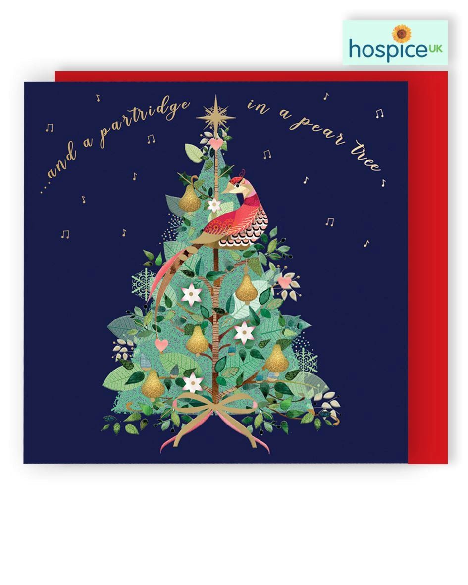 XSA021-Second Nature-Tree-Xmas Card Pack-Hospice Uk Charity Range