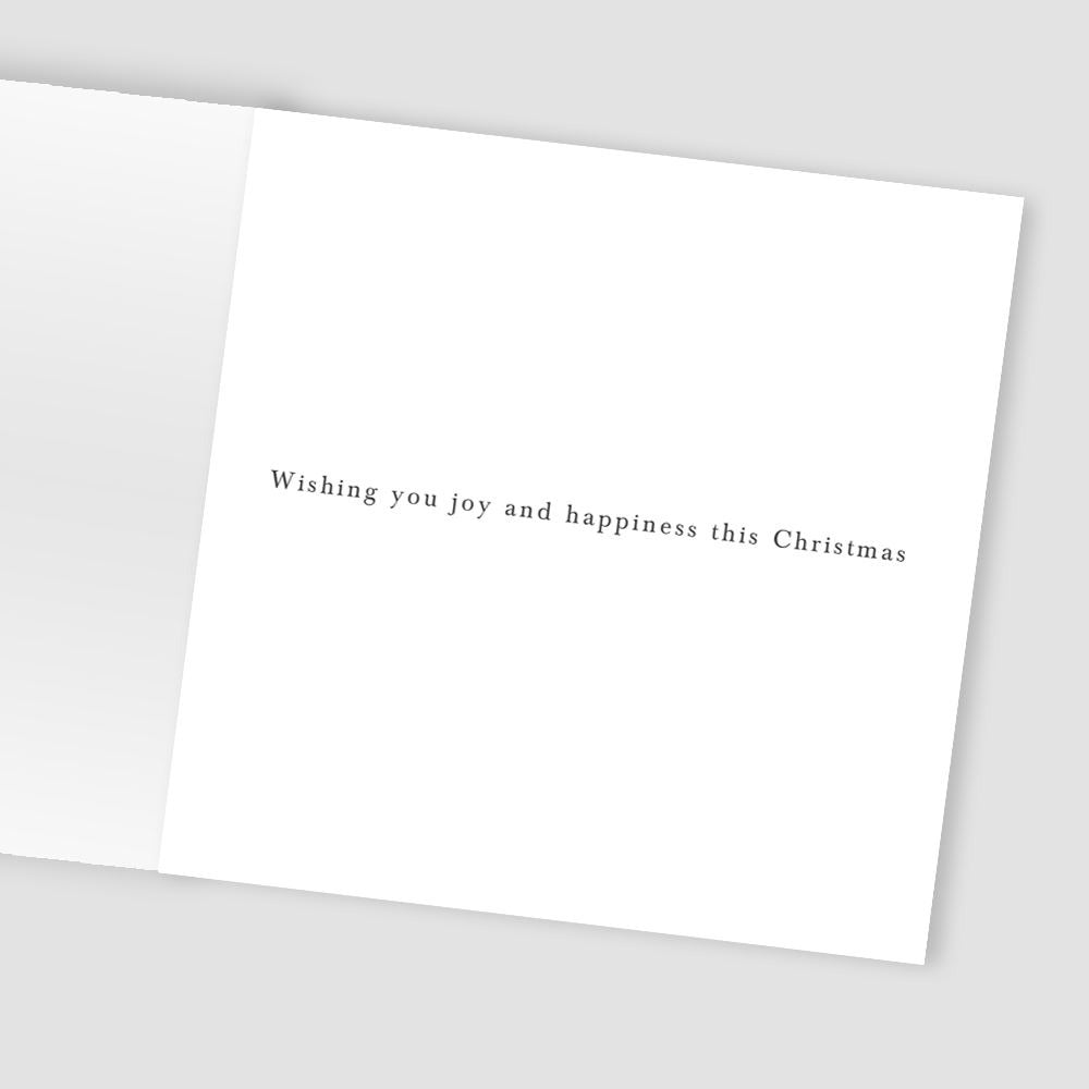 XSA028-Second Nature-Angel-Xmas Card Pack-Hospice Uk Charity Range
