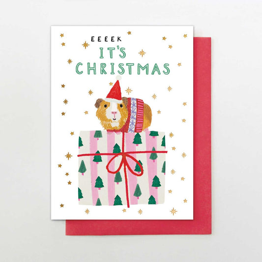 IC012-Stop The Clock-Eeeek It'S Christmas Guinea Pig-Xmas Card-It'S Christmas