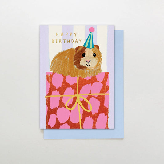 SR011-Stop The Clock-Card- Happy Birthday Guinea Pig-Card-Sugar Stripes